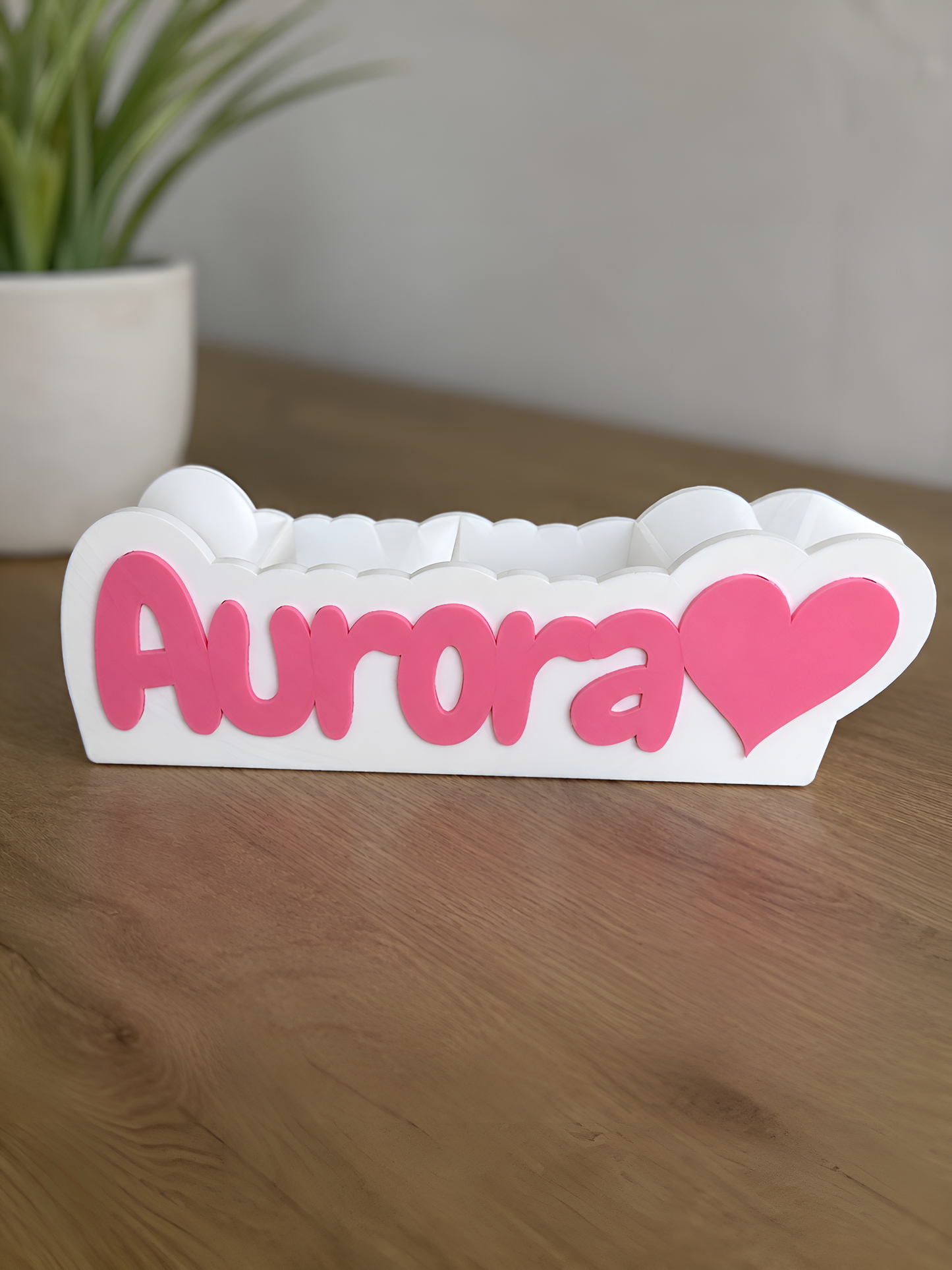 Personalized 3D Printed Desk Organizer | Custom Name Pencil Holder